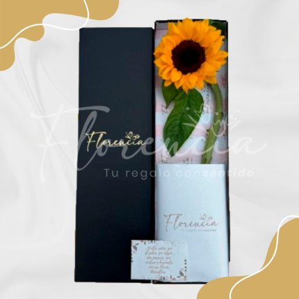 BOX Regala un Girasol