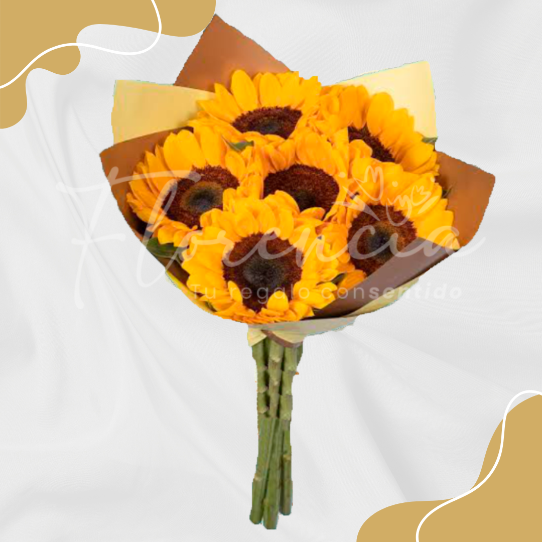 Diseño sin título (19)