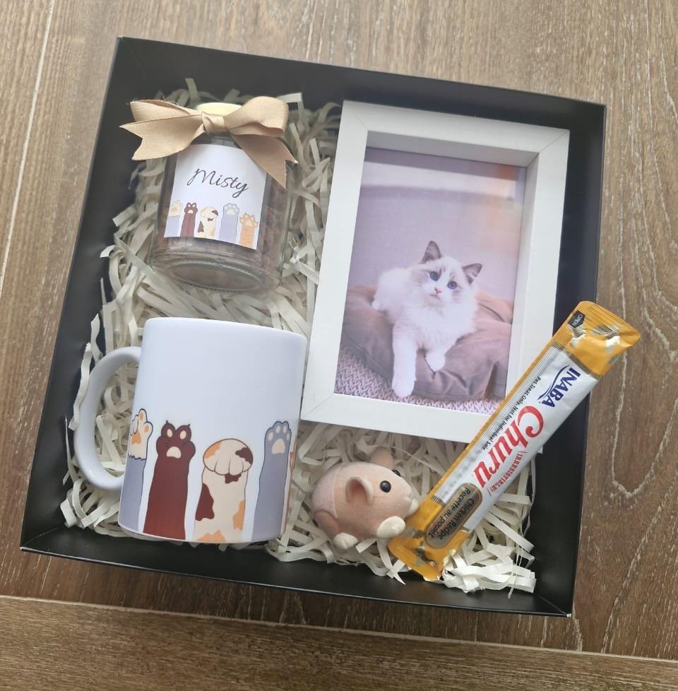 WhatsApp Image 2025-09-06 at 1.30.25 PM