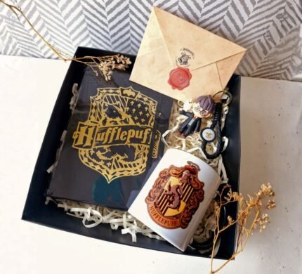 Harry Potter BOX Mágico 1