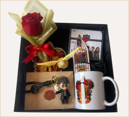 Harry Potter BOX Mágico 4
