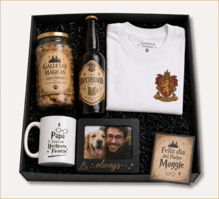 Harry Potter BOX Mágico 11 - Papá Animago